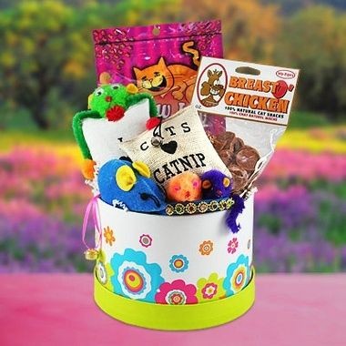 Pet (Cat) Gift Basket