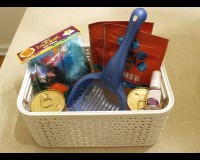 New Kitten Gift Basket