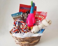 Pet Christmas Gift Basket